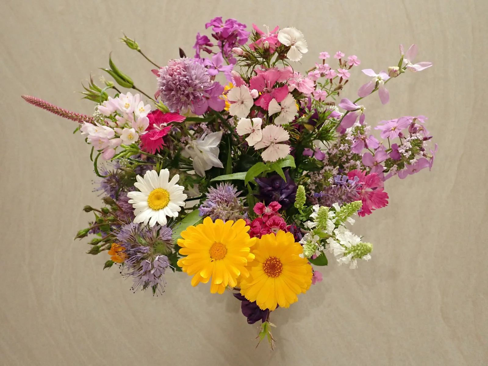 Samengesteld zomerboeket met veldbloemen op tafel